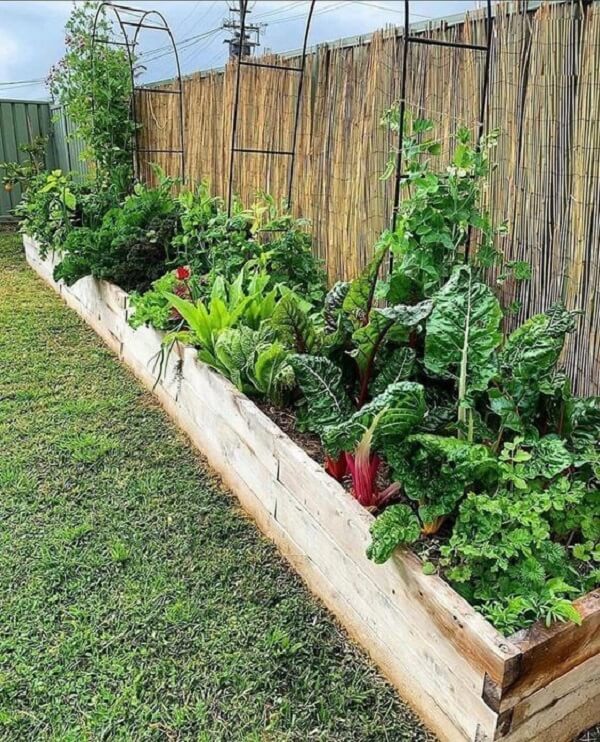 hortaliças para horta doméstica de temperos