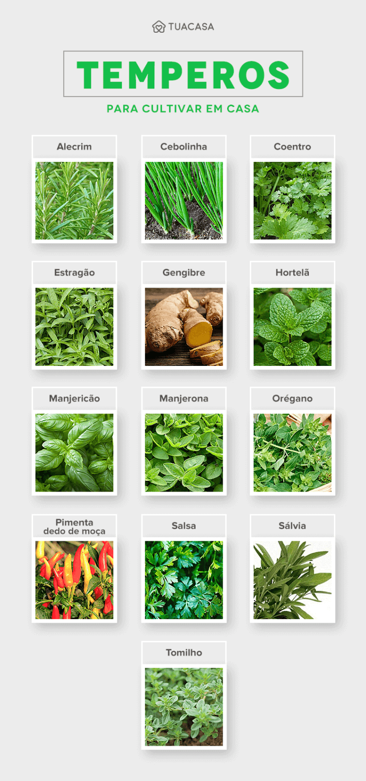 Calendário de Plantio: Quando Semear Seus Temperos Favoritos