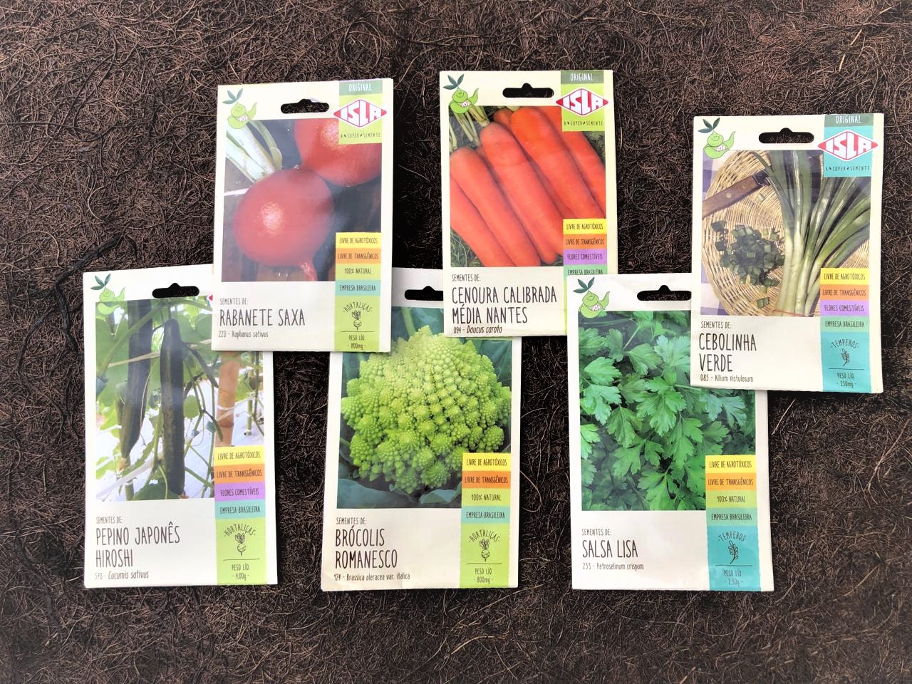 Como escolher o melhor substrato para sementeiras