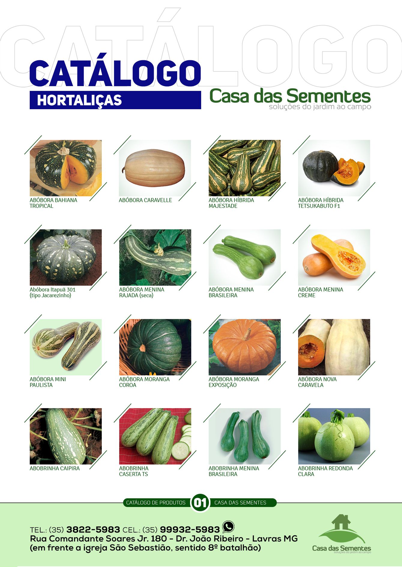 5 erros comuns ao usar sementeiras e como evitá-los