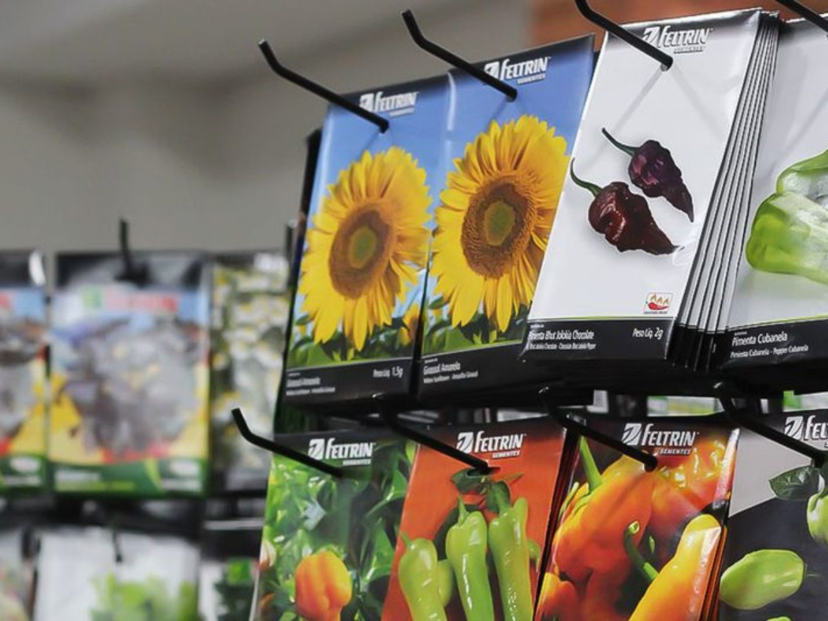 Calendário de plantio de hortaliças para sementeiras