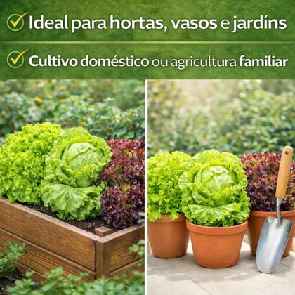 Como escolher o melhor substrato para sementeiras