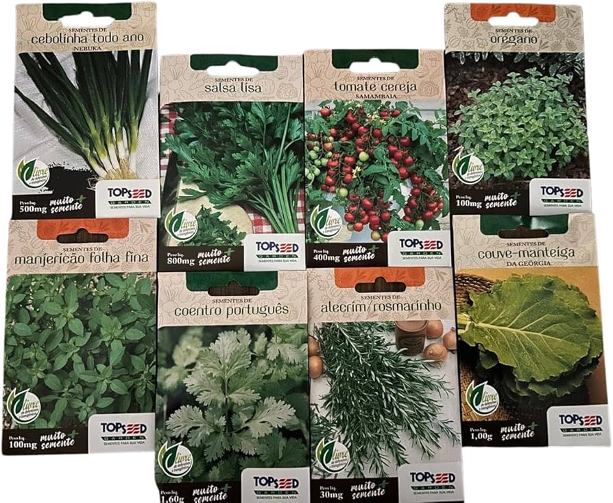 Guia completo de transplante de mudas sem danificar as raízes