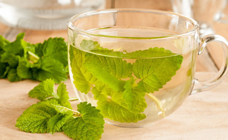 hortaliças para quem tem gastrite plantar