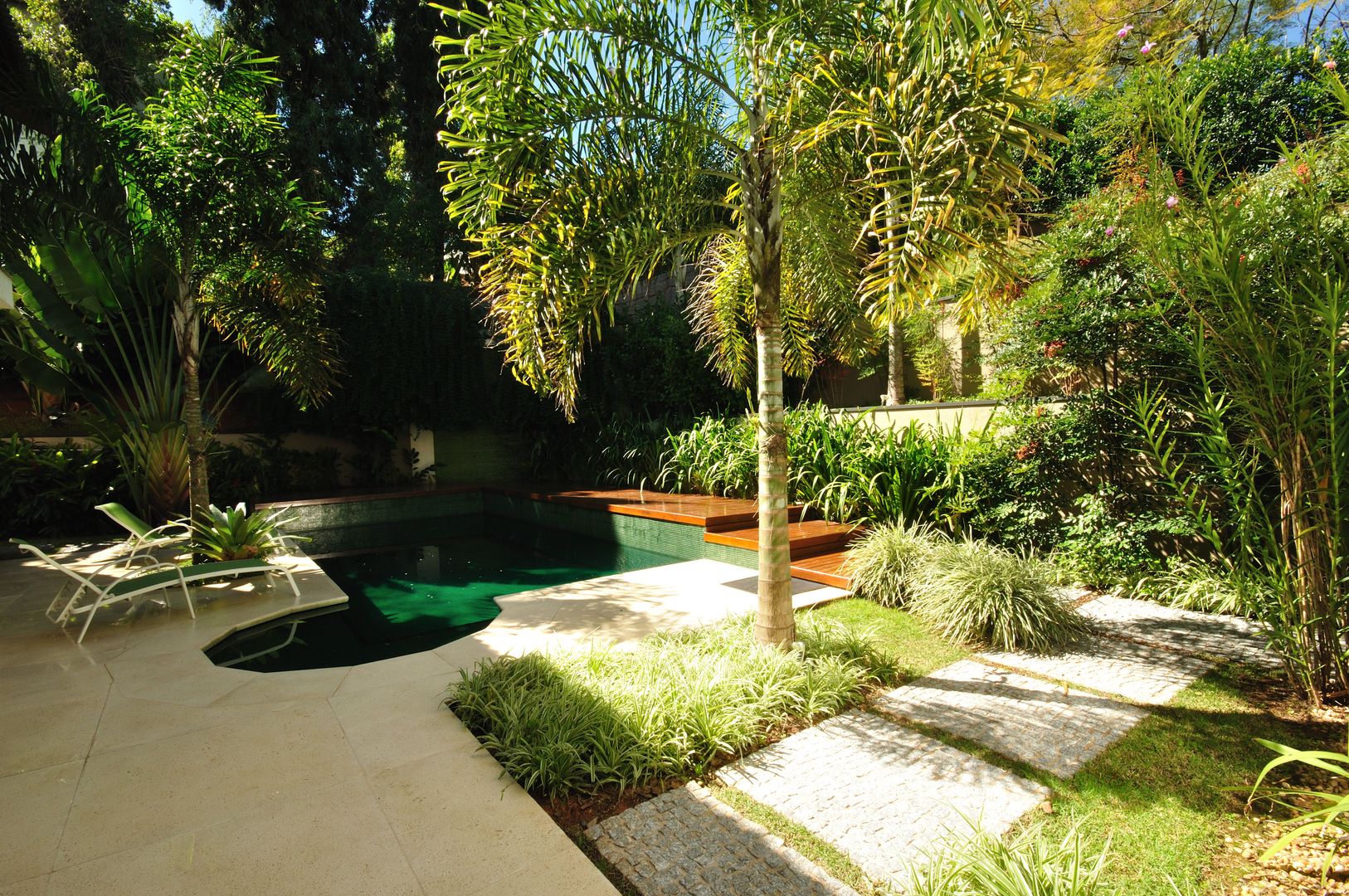 a Planta que Sobrevive a Tudo