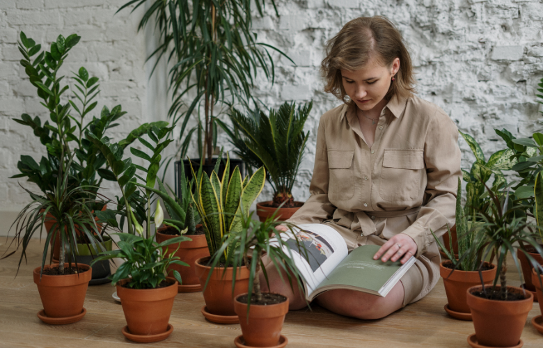 O Poder Purificador do Lírio-da-Paz no Seu Banheiro