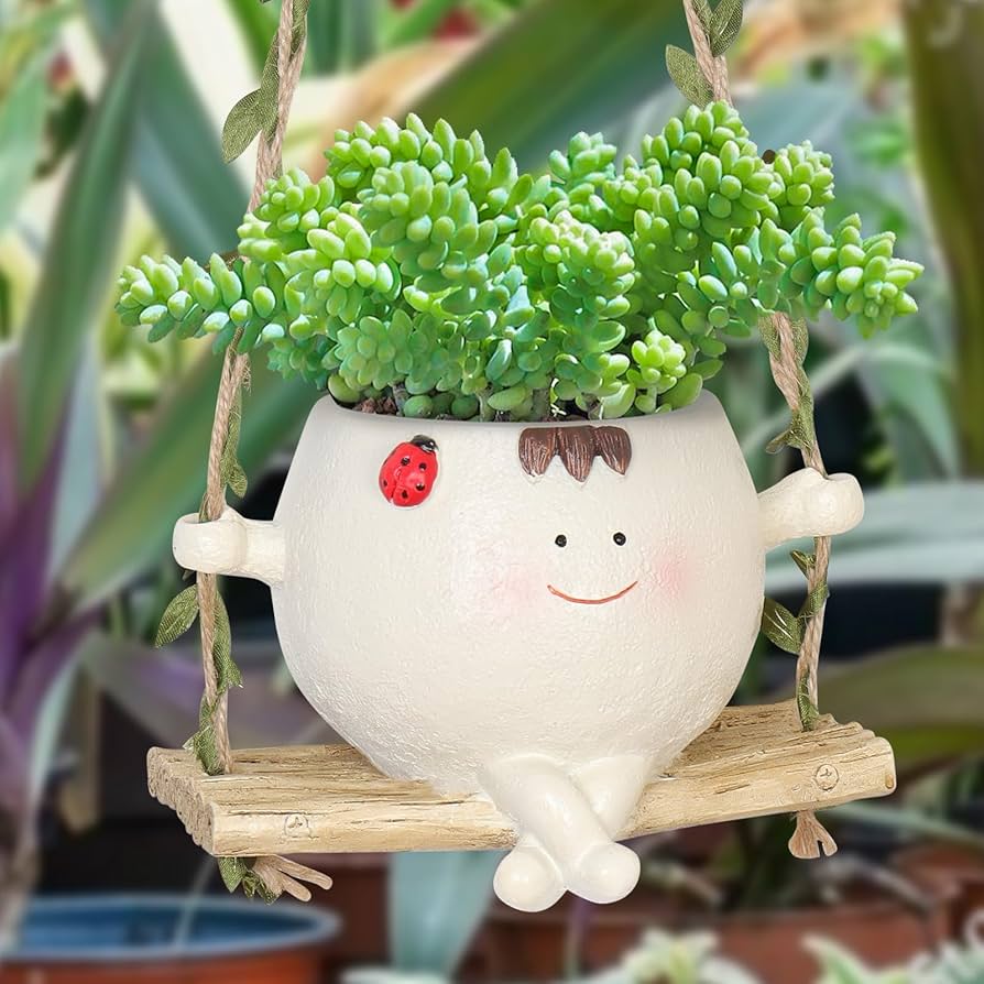 Como Criar um Jardim Vertical de Suculentas