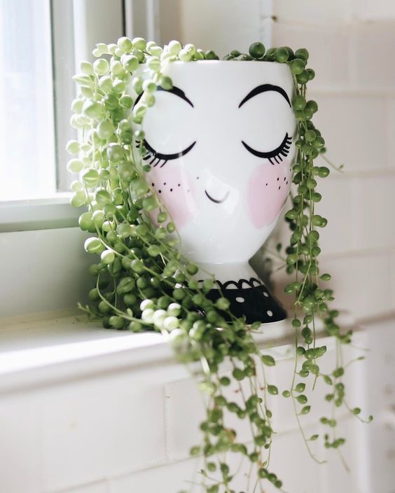 Suculentas Artificiais vs. Naturais: Qual a Melhor Escolha para Sua Decoração?