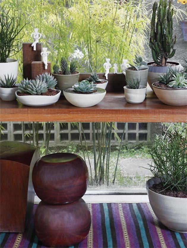 ideias de decoração com plantas suculentas