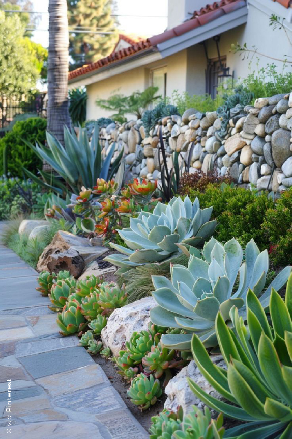 10 Vasos Criativos para Suculentas Feitos em Casa