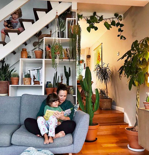 Guia Completo: Suculentas para Ambientes Internos e Externos