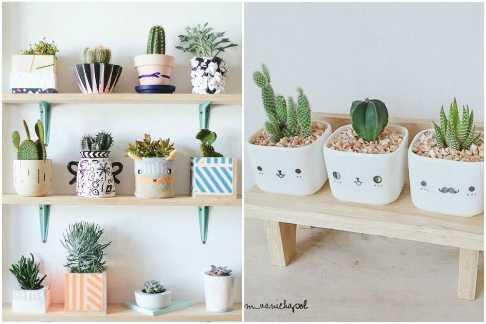 Guia Completo: Suculentas para Ambientes Internos e Externos