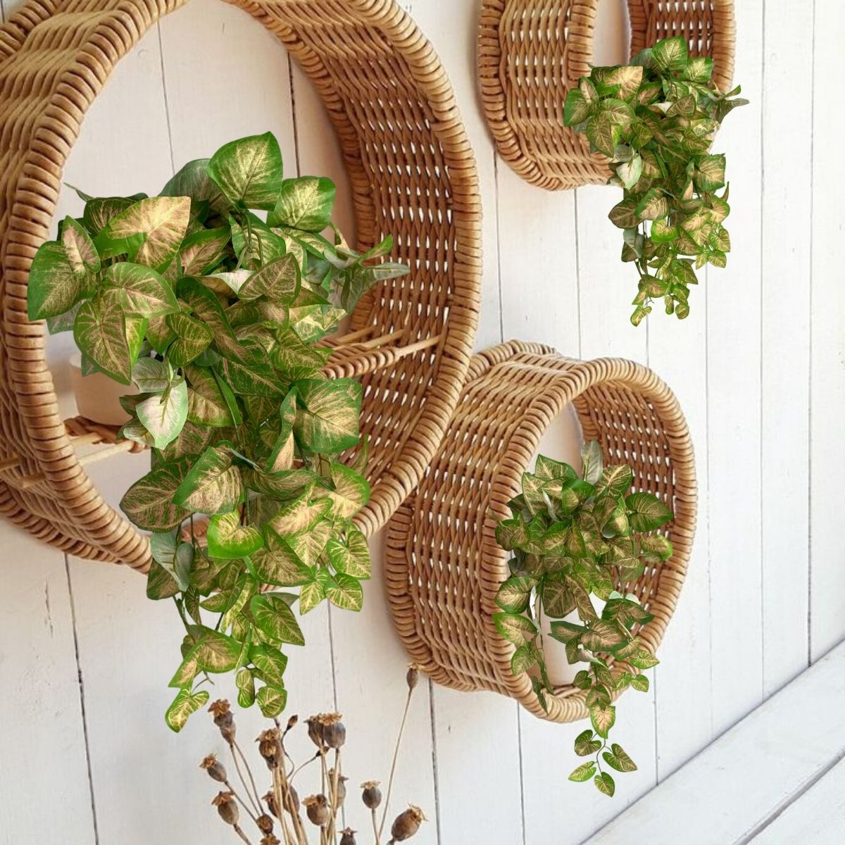 Transforme sua varanda em um oásis verde com plantas suspensas