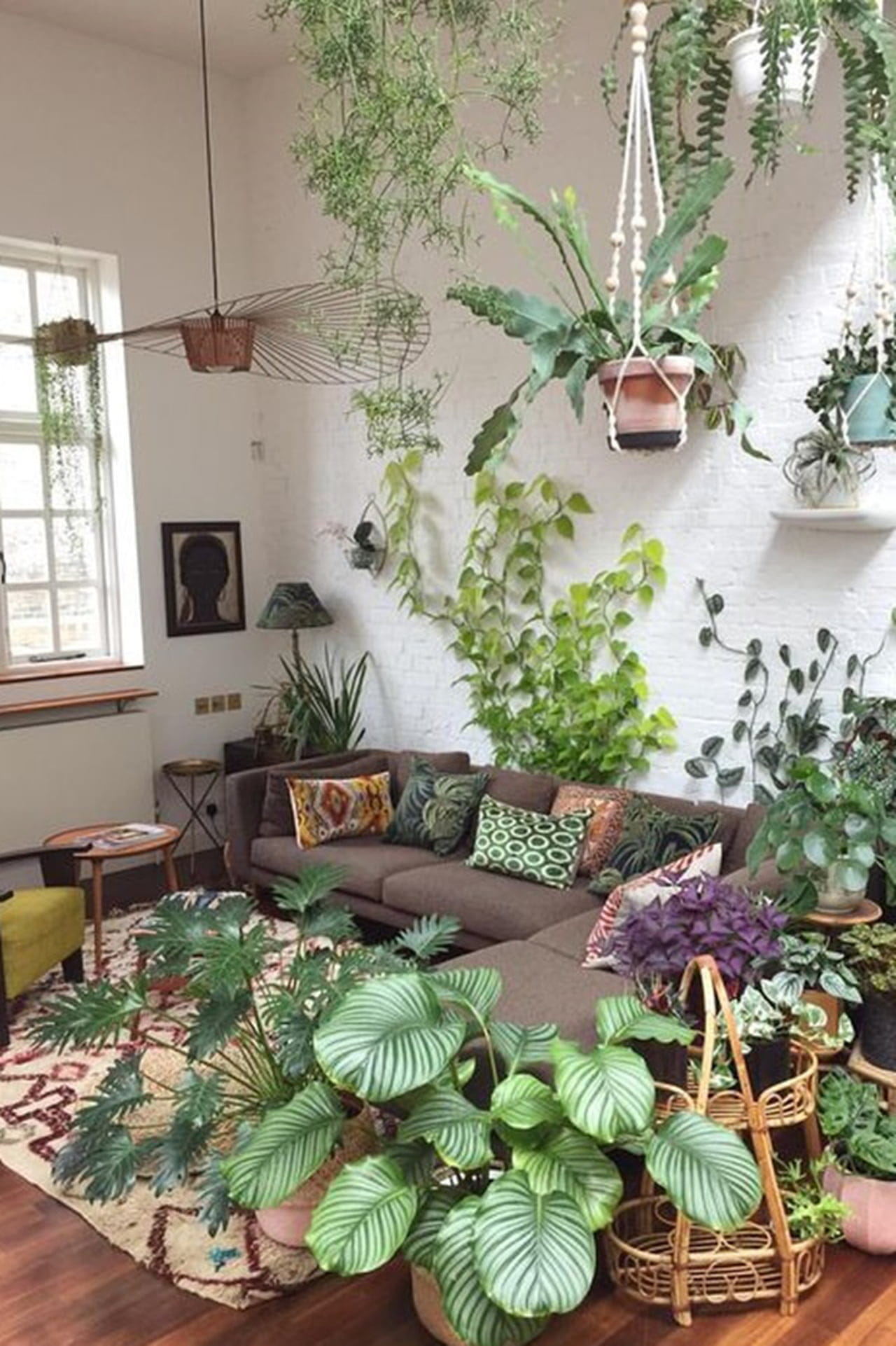 ideias de decoração com plantas suspensas