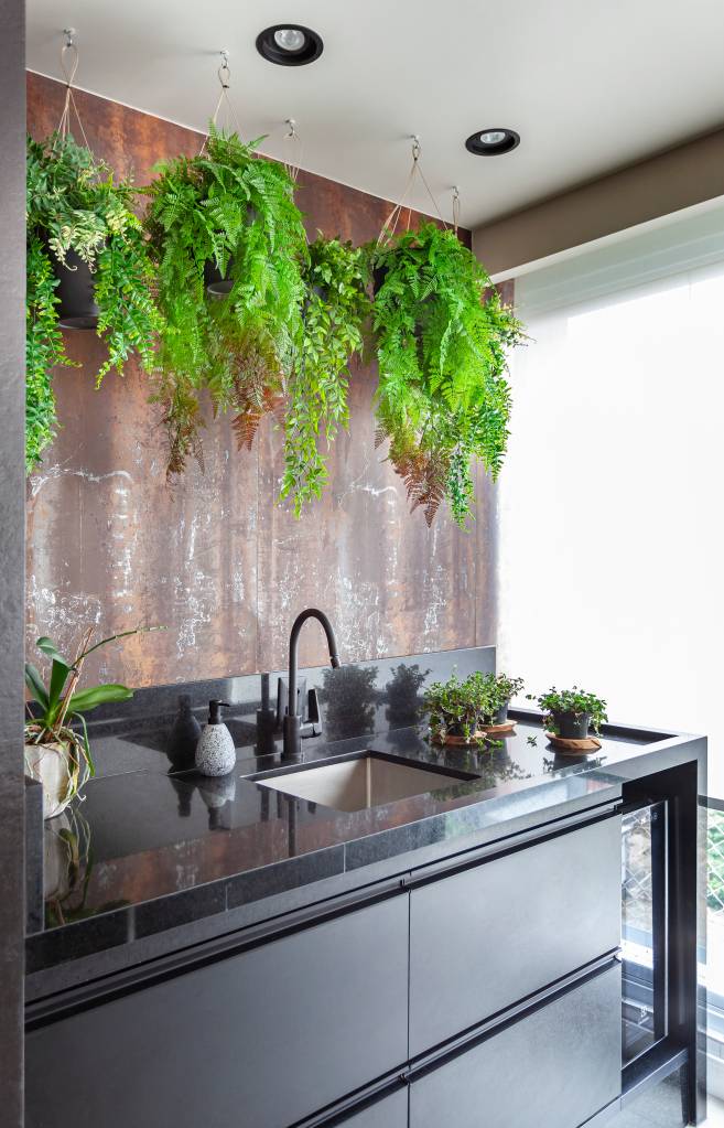 10 plantas de cascata perfeitas para sua sala