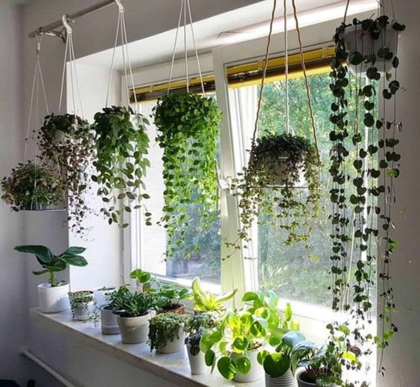 DIY: Crie prateleiras suspensas personalizadas para suas plantas