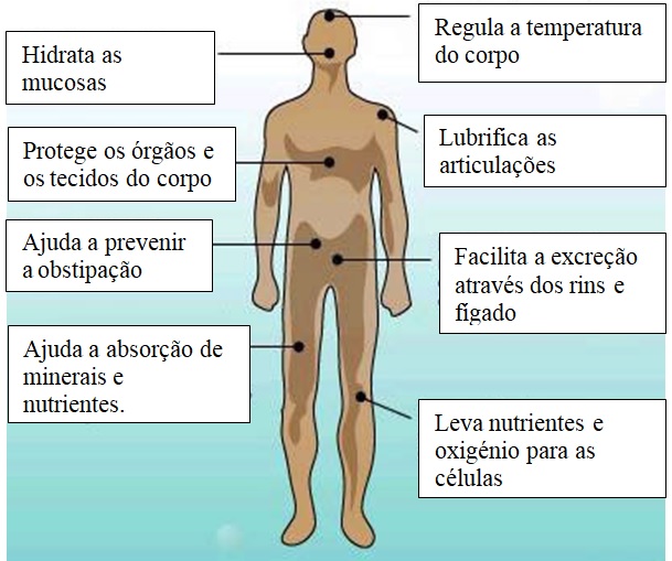 Como Criar uma Rotina de Hidratação Eficaz para Idosos