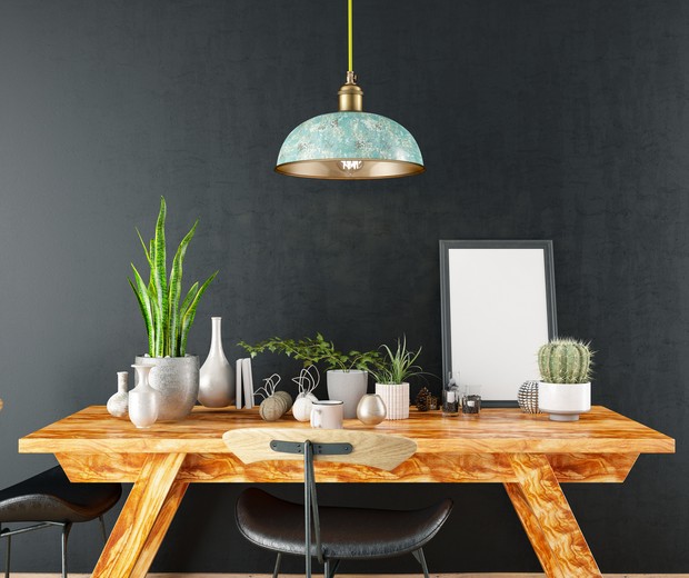 Como identificar a necessidade de luz da sua planta