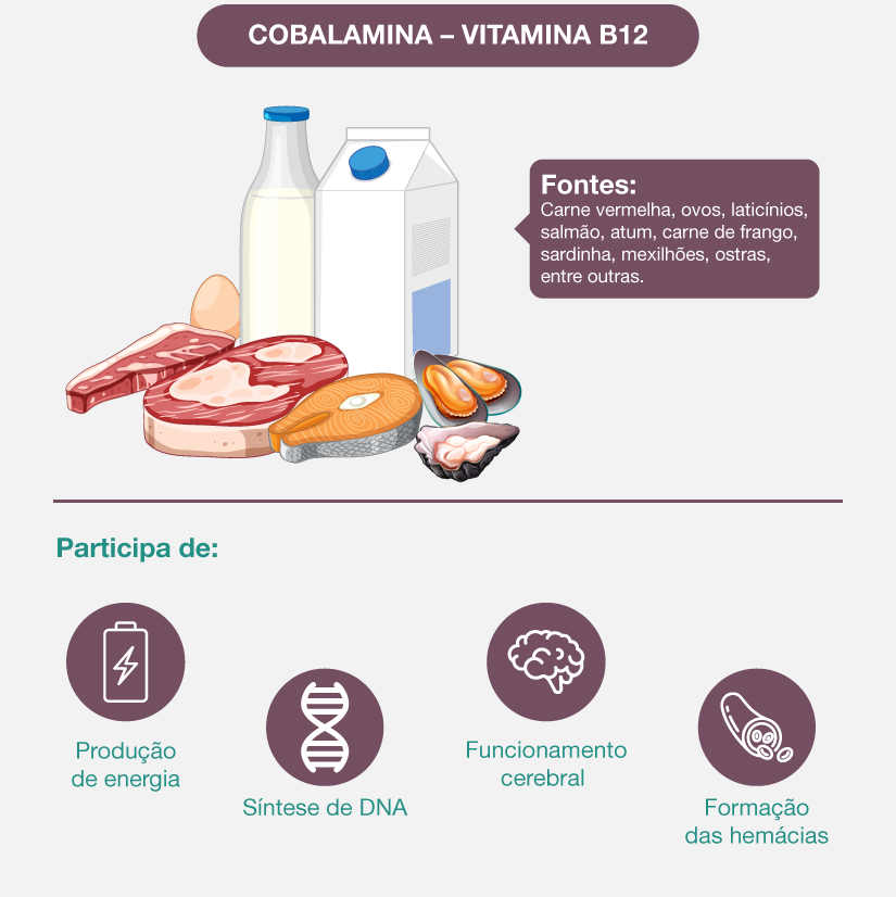 Como a Vitamina B12 Afeta Seus Níveis de Energia Diária