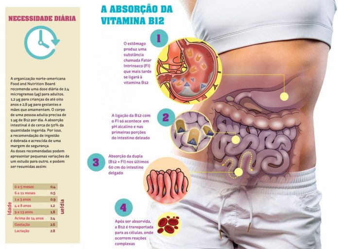 Os Riscos da Deficiência de Vitamina B12: Sintomas e Consequências