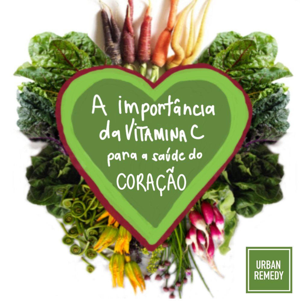 10 Alimentos Incríveis Ricos em Vitamina E para a Saúde do Coração
