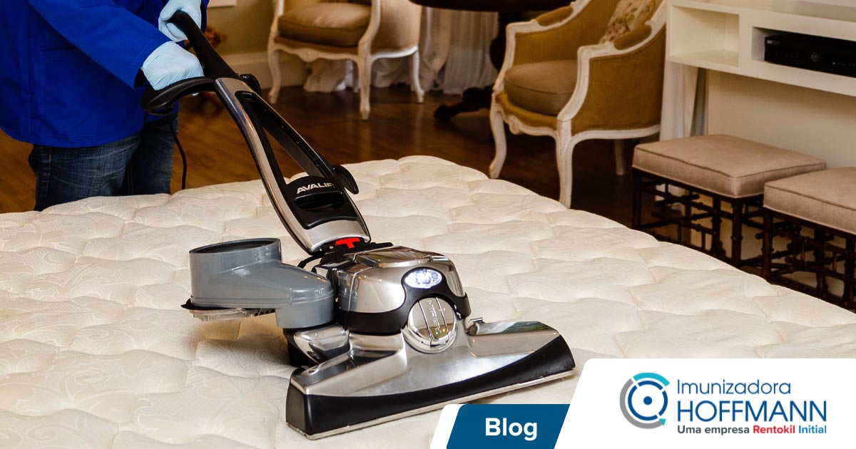 Guia Completo: Como Lavar Travesseiros de Espuma na Máquina