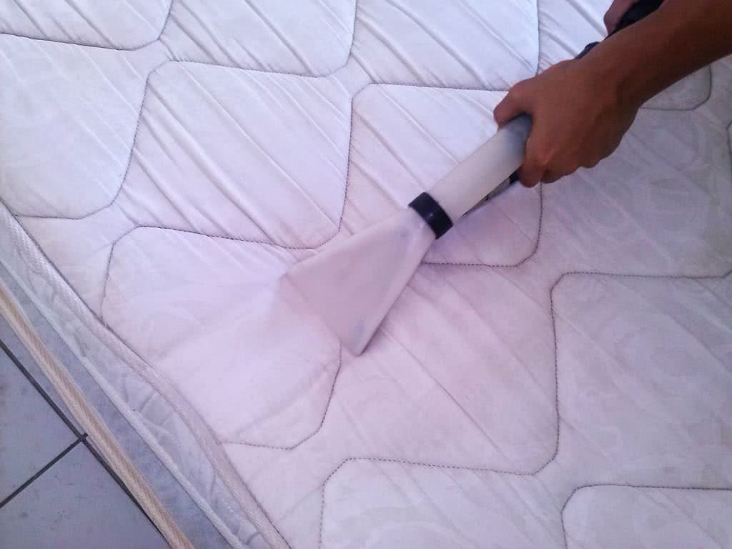 O Perigo Invisível: Entenda a Proliferação de Ácaros em Colchões