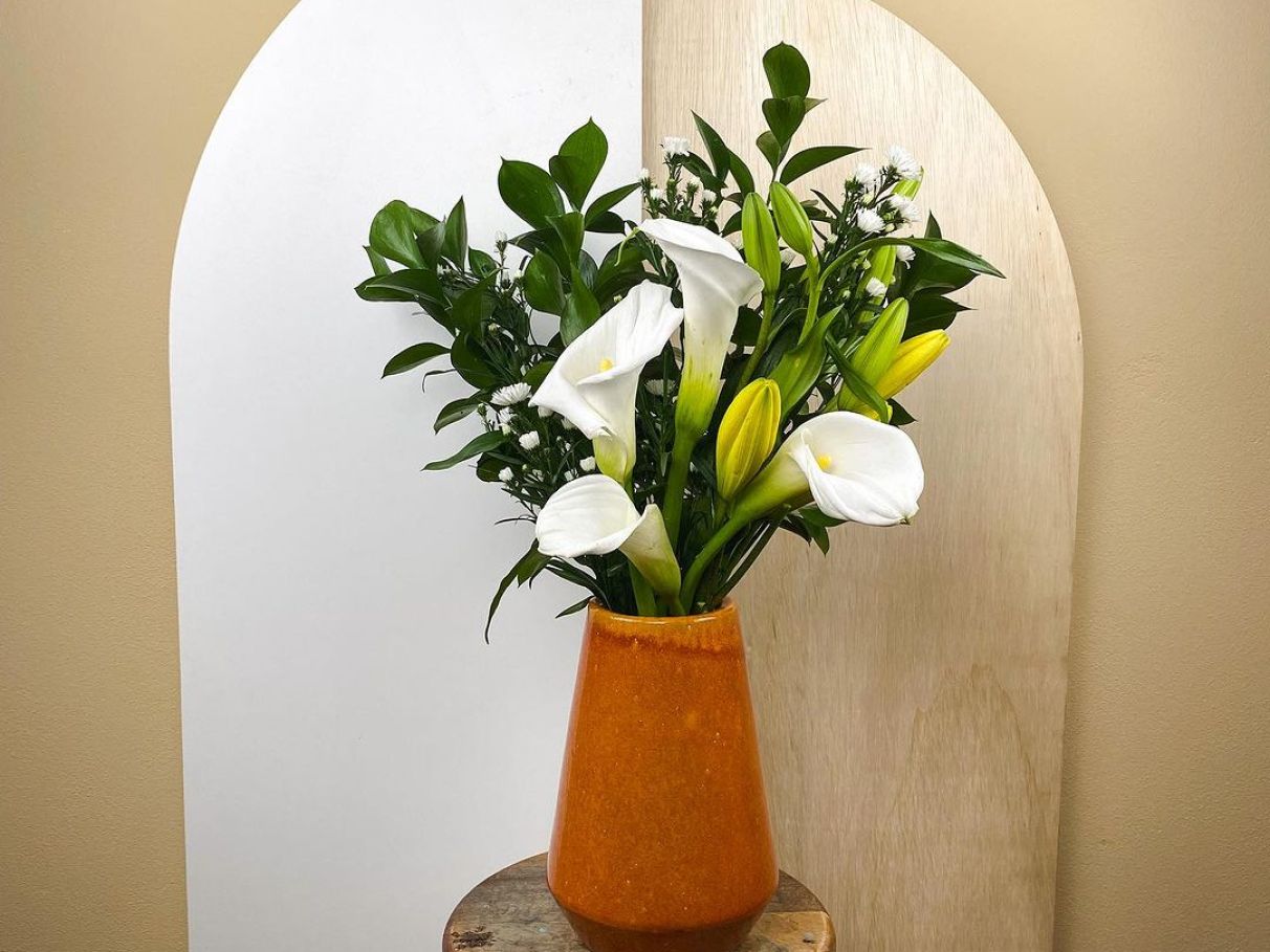 Os 5 melhores purificadores de ar naturais para sua casa