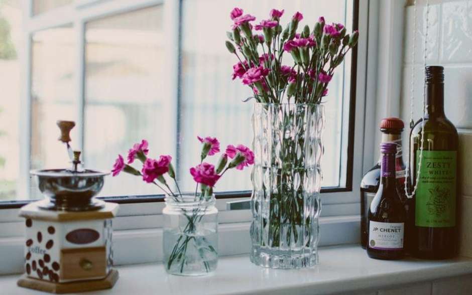 10 flores fáceis de cuidar em apartamento