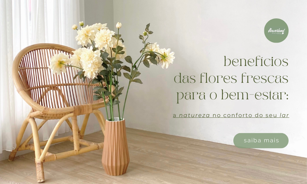 Guia completo: Benefícios da lavanda para o sono e bem-estar