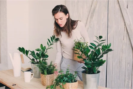 Como escolher as plantas certas para cada cômodo da casa