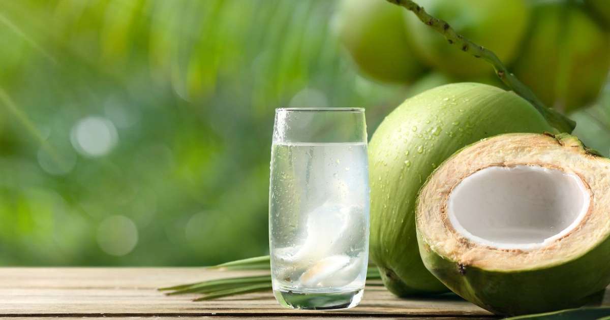 Mitos e Verdades sobre o Consumo Diário de Água de Coco
