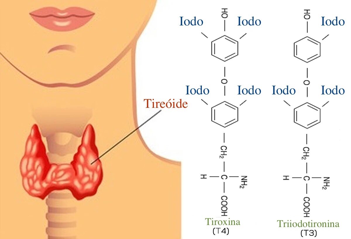 Verdades e Perigos da Automedicação