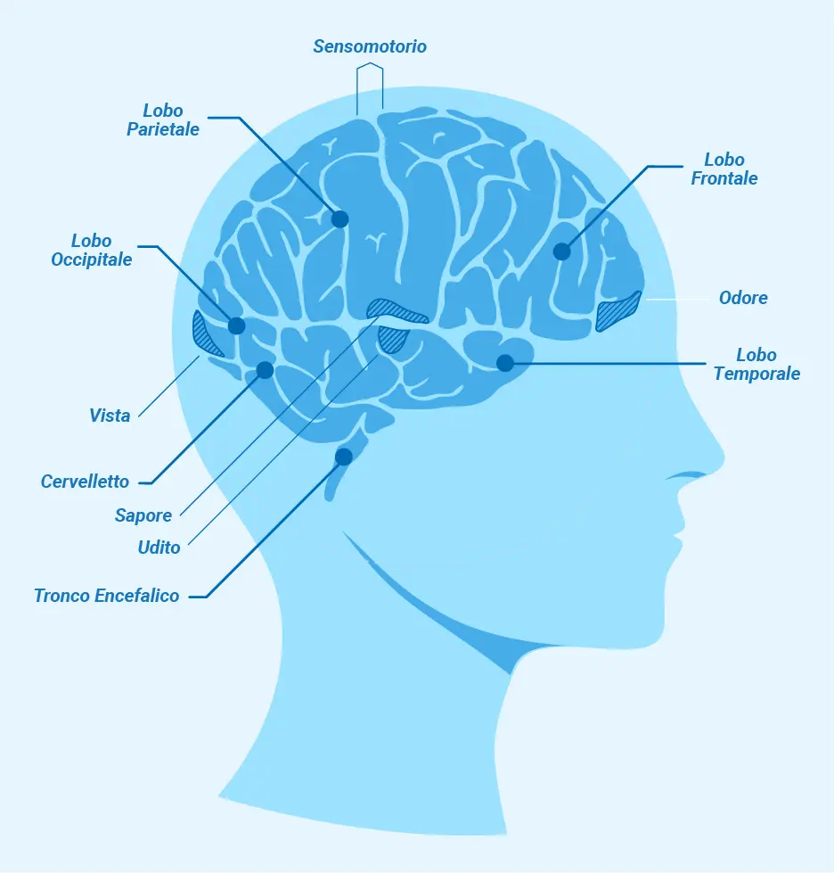 Magnésio L-Treonato vs. Glicinato: Qual a melhor escolha para você?