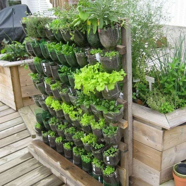 irrigação de horta com garrafão de 20 litros