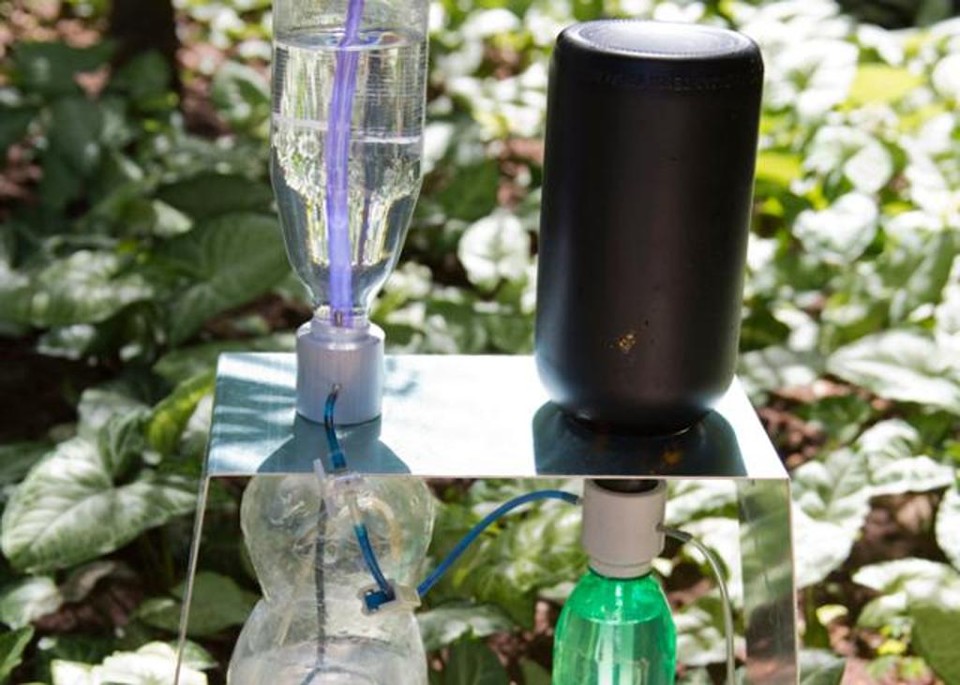 5 ideias de títulos:
1. Transforme seu Garrafão de 20L em um Sistema de Irrigação Inteligente
2. Guia Completo: 3 Métodos de Irrigação com Garrafão para sua Horta
3. Vaso Autoirrigável Caseiro: Economize Água e Tempo com Garrafões
4. Irrigação por Gotejamento DIY: Solução Econômica para suas Plantas
5. Dicas Essenciais para Manutenção do seu Sistema de Irrigação com Galão