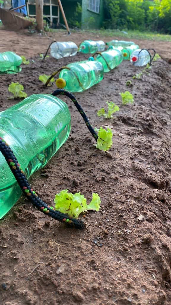 irrigação de horta com garrafão de 20 litros