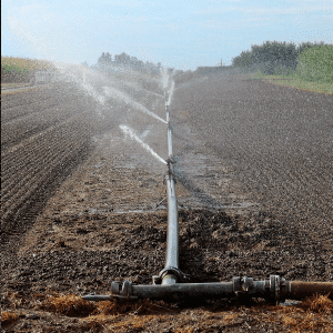 Guia Completo: Como Calcular a Vazão Ideal para Sua Horta com Irrigação por Gotejamento