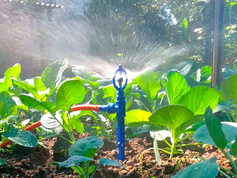 Os 5 Erros Mais Comuns na Instalação de Sistemas de Irrigação por Gotejamento e Como Evitá-los