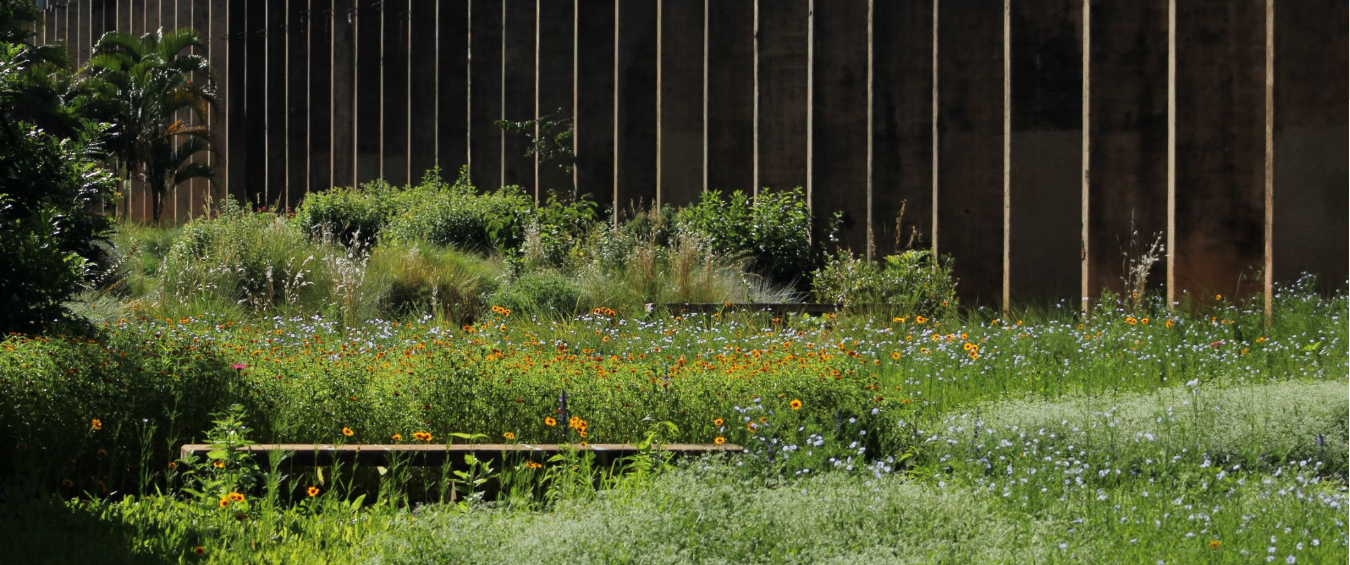 Entrevista com Julio Pastore: O Criador do Jardim de Sequeiro