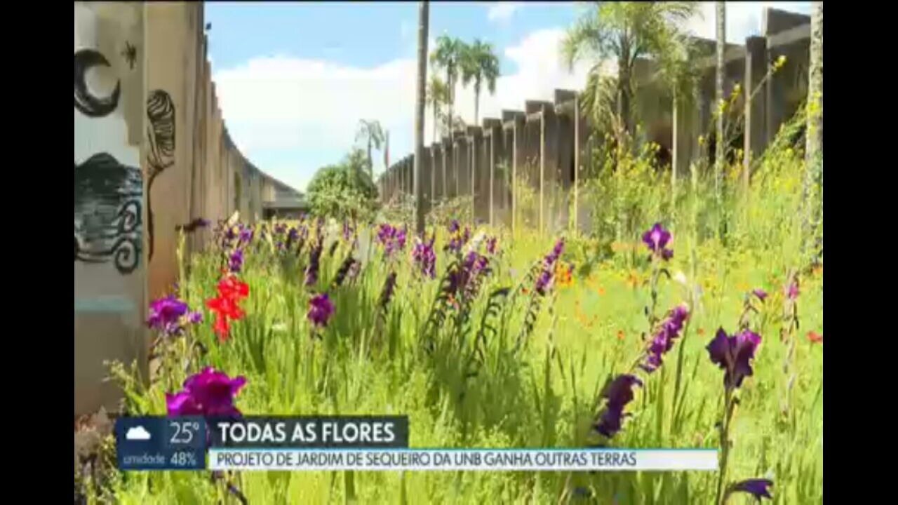 jardim de sequeiro brasília