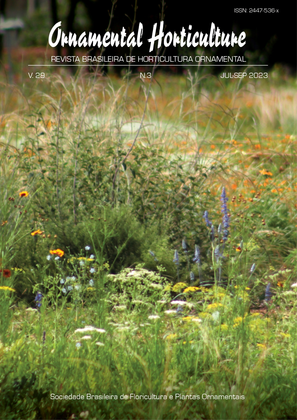 5 Plantas Nativas do Cerrado para seu Jardim Sustentável