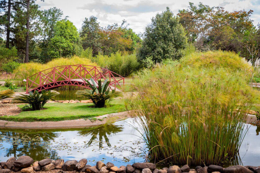 Entrevista com Julio Pastore: O Criador do Jardim de Sequeiro