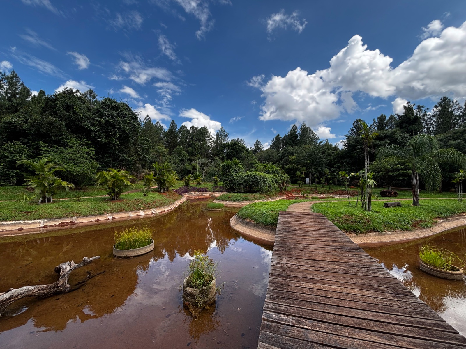 Como o Jardim de Sequeiro da UnB Inspira o Paisagismo Internacional