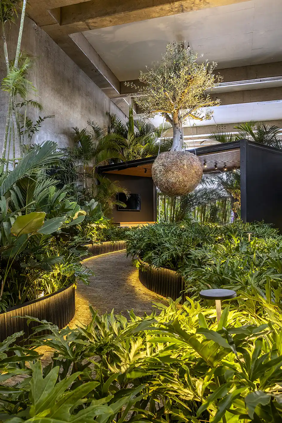 A Importância da Biodiversidade no Jardim de Sequeiro