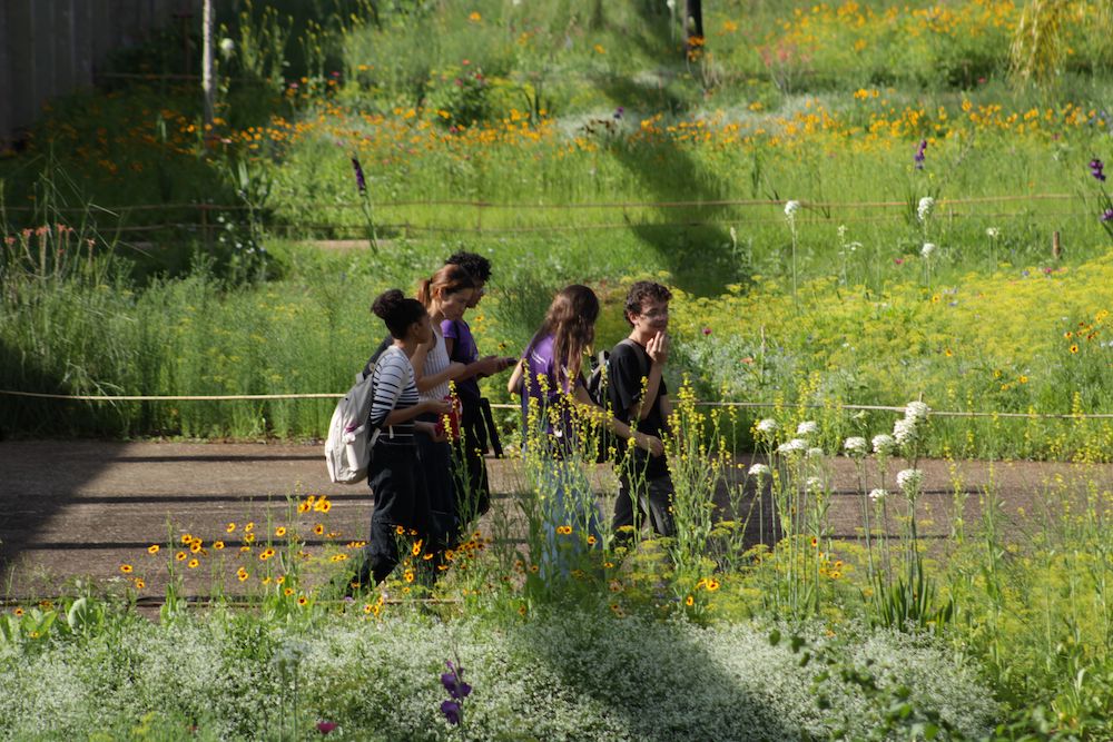 Entrevista com Julio Pastore: O Criador do Jardim de Sequeiro