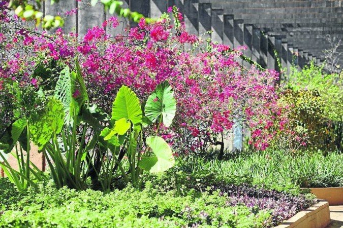 A Importância da Biodiversidade no Jardim de Sequeiro