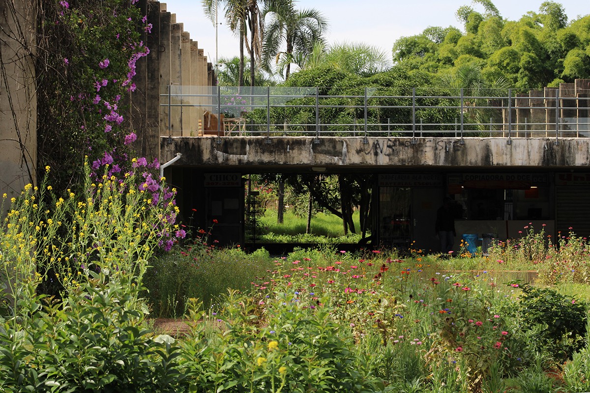 jardim de sequeiro brasília