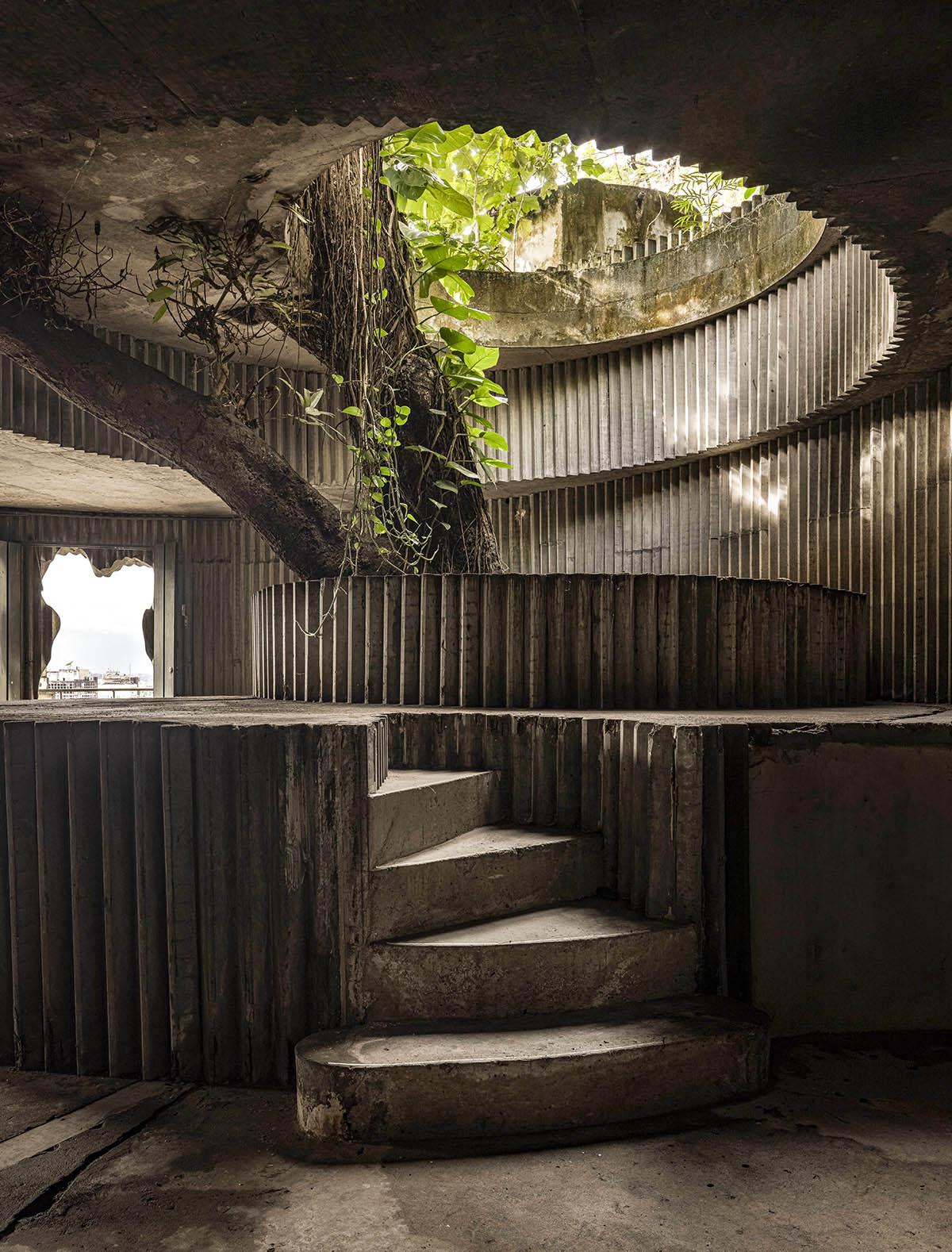 5 Plantas Nativas do Cerrado para seu Jardim Sustentável