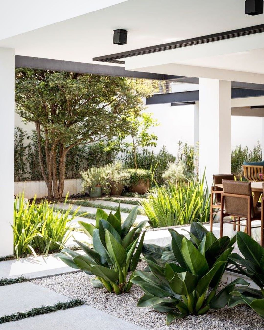 5 Dicas de Iluminação para seu Jardim de Inverno